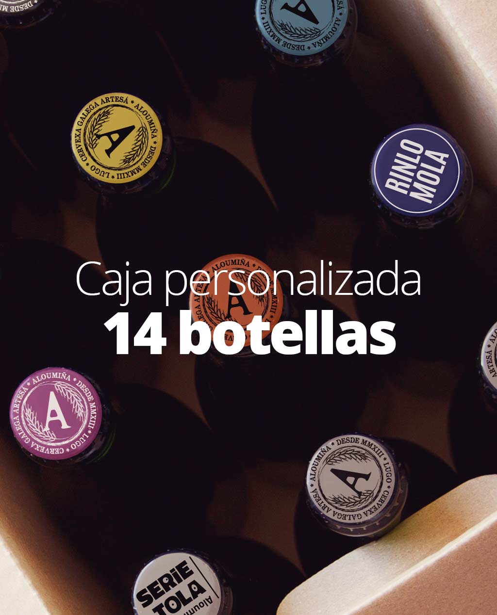 aloumina-cerveza-artesana-craft-beer-lugo-galicia-serietola-caja-personalizada-14-botellas-1024